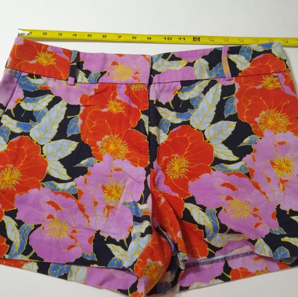 Ann Taylor Loft Riviera Shorts 10